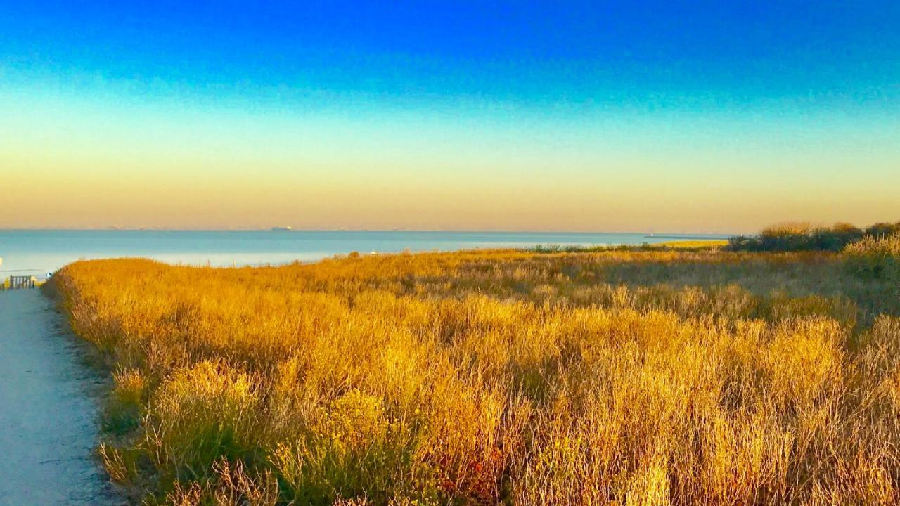 Boutique Hide & Seek, Bed & Beach Bed and Breakfast L'Aia Esterno foto